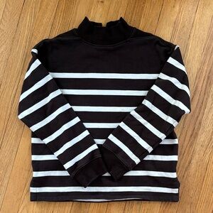 Madewell Turtleneck Sweatshirt with Brown and White Stripes